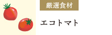 厳選食材：トマト