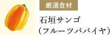 石垣サンゴ（フルーツパパイヤ）