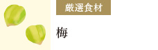 厳選食材：梅