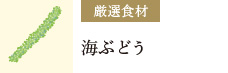 厳選食材：海ぶどう