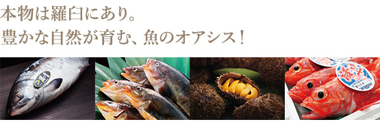 本物は羅臼にあり。豊かな自然が育む、魚のオアシス！