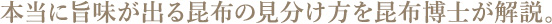 本当に旨味が出る昆布の見分け方を昆布博士が解説。